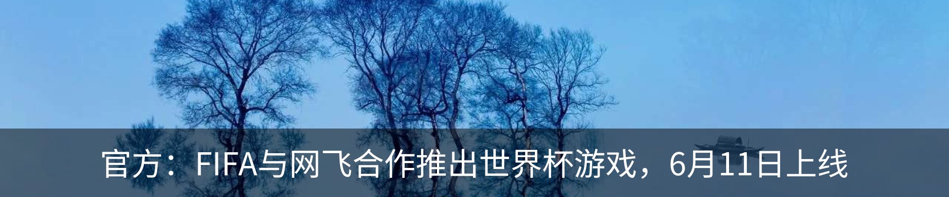 资讯动态